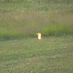 2013 Suche 29062013 Olivera